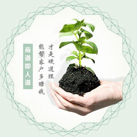 蔬菜種子經(jīng)營(yíng)，商道即人道