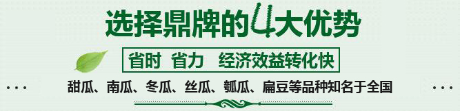 購(gòu)買(mǎi)蔬菜種子，選擇鼎牌的四大優(yōu)勢(shì)
