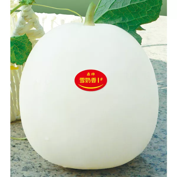 薄皮甜瓜，哪個品種最好呢？畝產(chǎn)高達(dá)10萬，附4種市場爆款品種