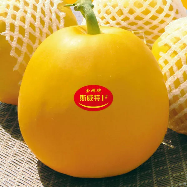 薄皮甜瓜，哪個品種最好呢？畝產(chǎn)高達(dá)10萬，附4種市場爆款品種