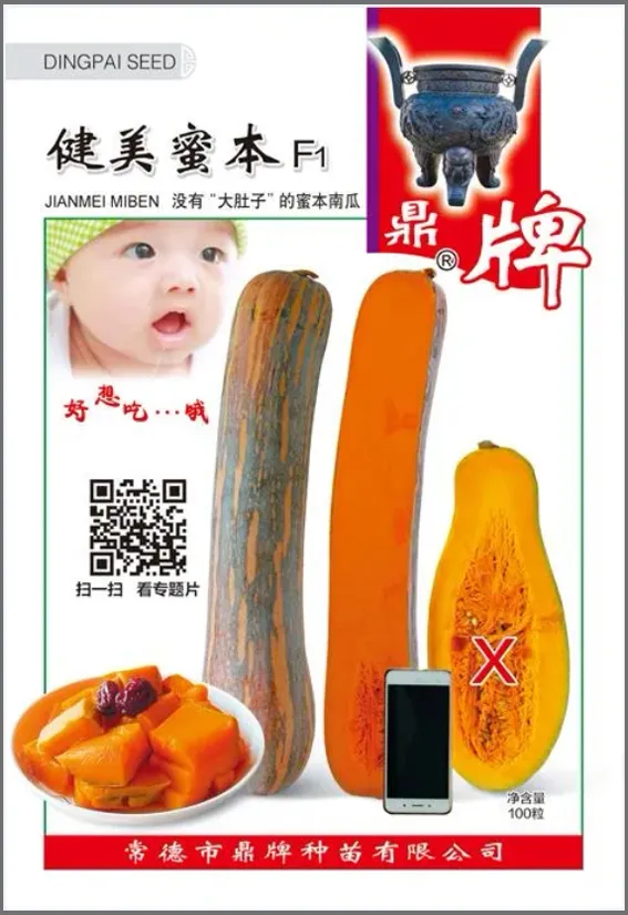 3元1斤的健美蜜本南瓜快成熟了，緬甸種植戶發(fā)來圖片與視頻
