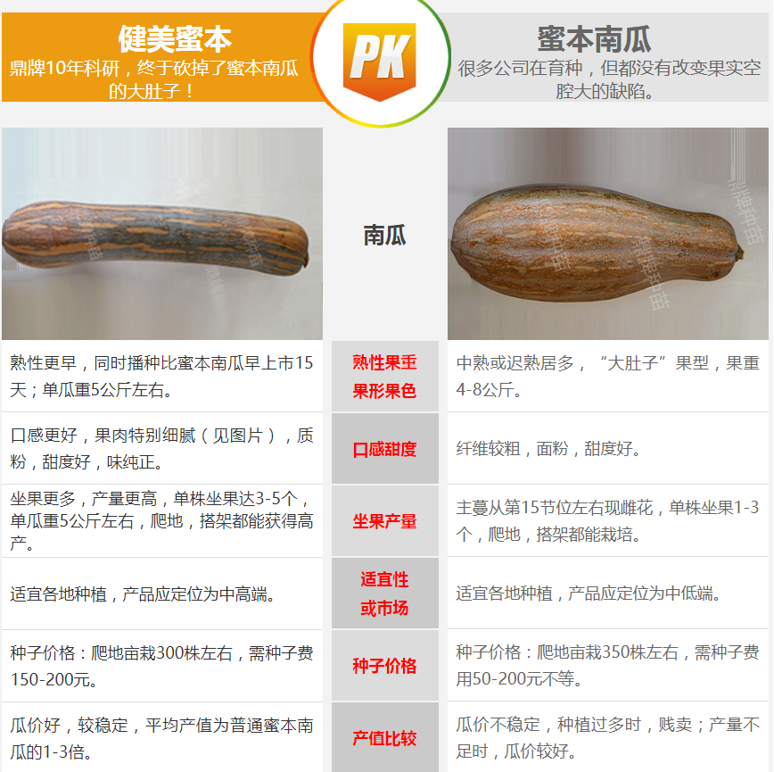 生吃都好吃南瓜新品種，沒(méi)有大肚子，肉質(zhì)更密致，農(nóng)戶試種下