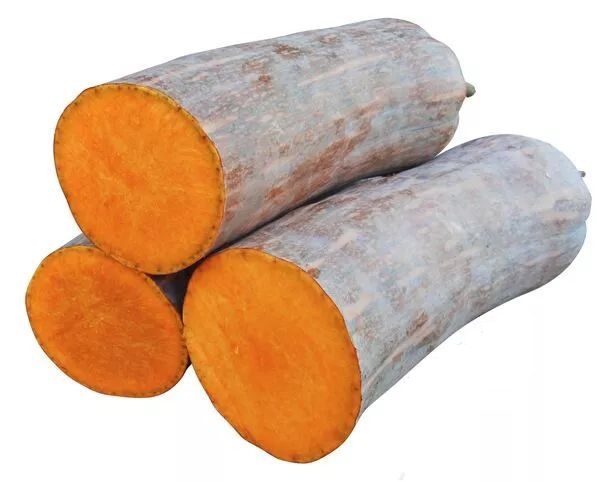生吃都好吃南瓜新品種，沒(méi)有大肚子，肉質(zhì)更密致，農(nóng)戶試種下