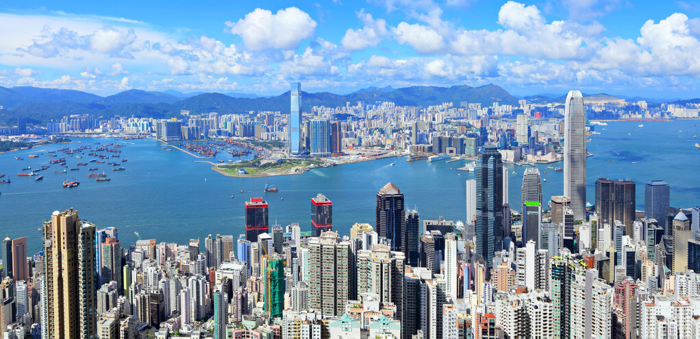 這個(gè)絲瓜畝產(chǎn)可達(dá)8000公斤，菜農(nóng)2021年致富的絲瓜品種