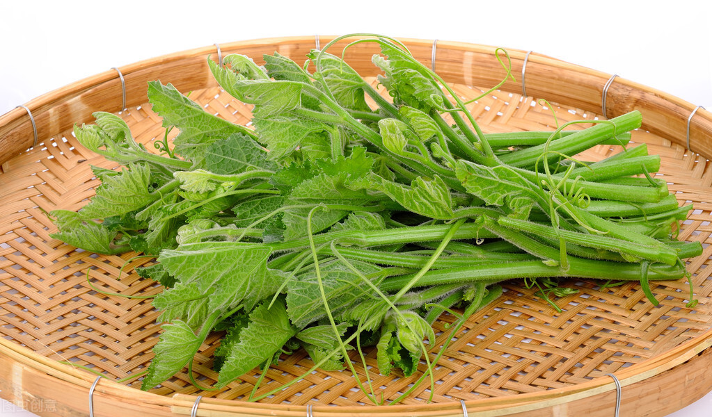 種這種綠葉菜，栽培輕松，畝產(chǎn)值過(guò)萬(wàn)元，菜農(nóng)表示很劃算