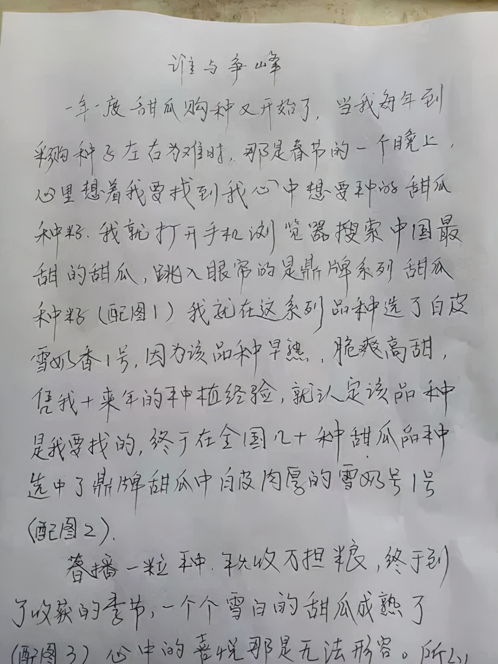 河南焦作的李向林今年種植甜瓜新品種，客戶直接拉貨走人