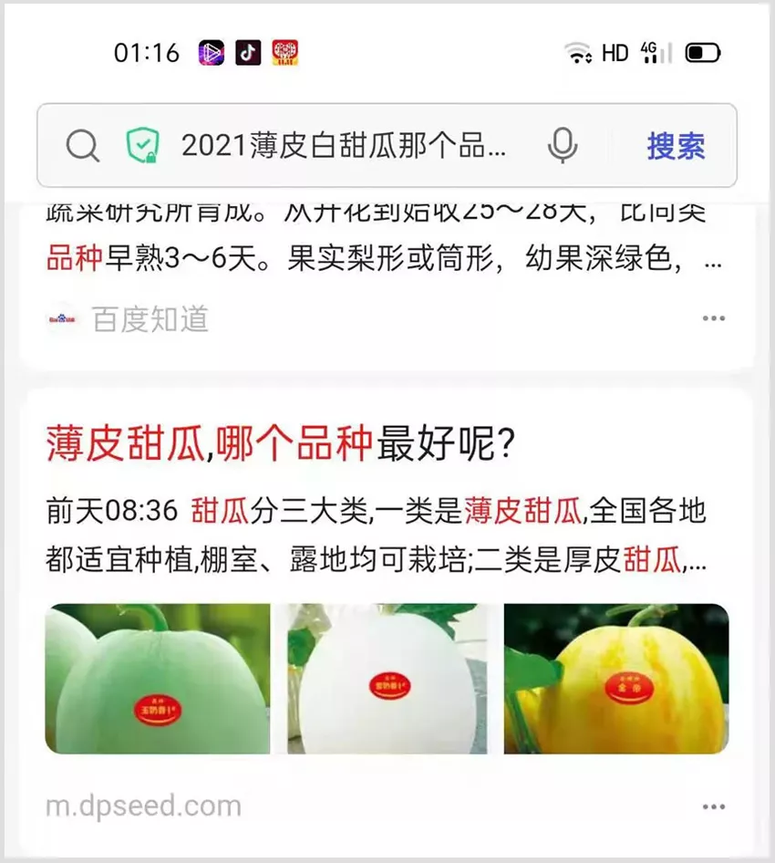 河南焦作的李向林今年種植甜瓜新品種，客戶直接拉貨走人