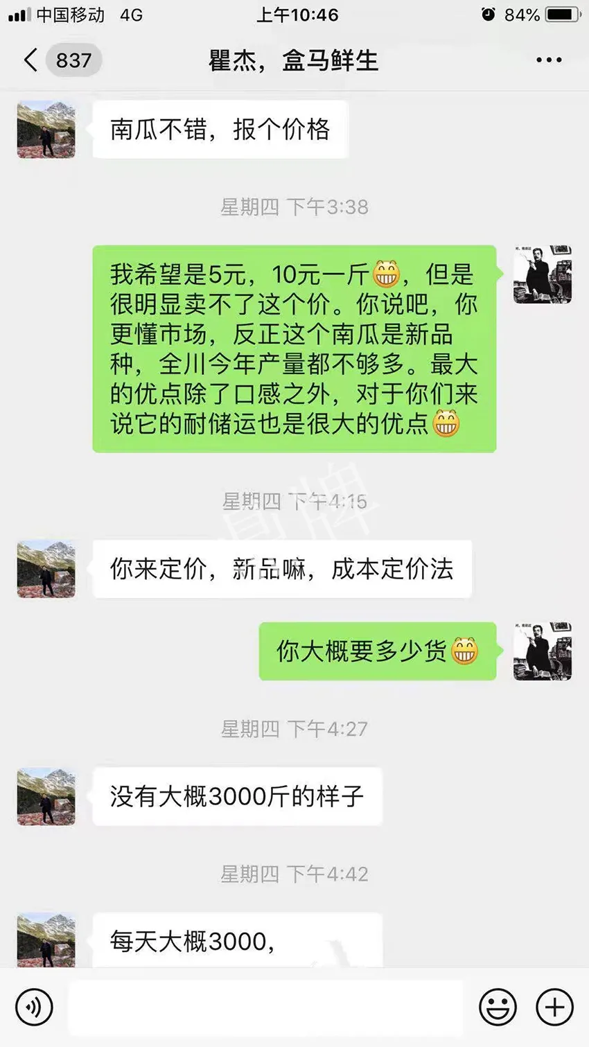 四川農(nóng)戶今年種“健美蜜本”南瓜產(chǎn)量高，品質(zhì)好，感覺巴適得很
