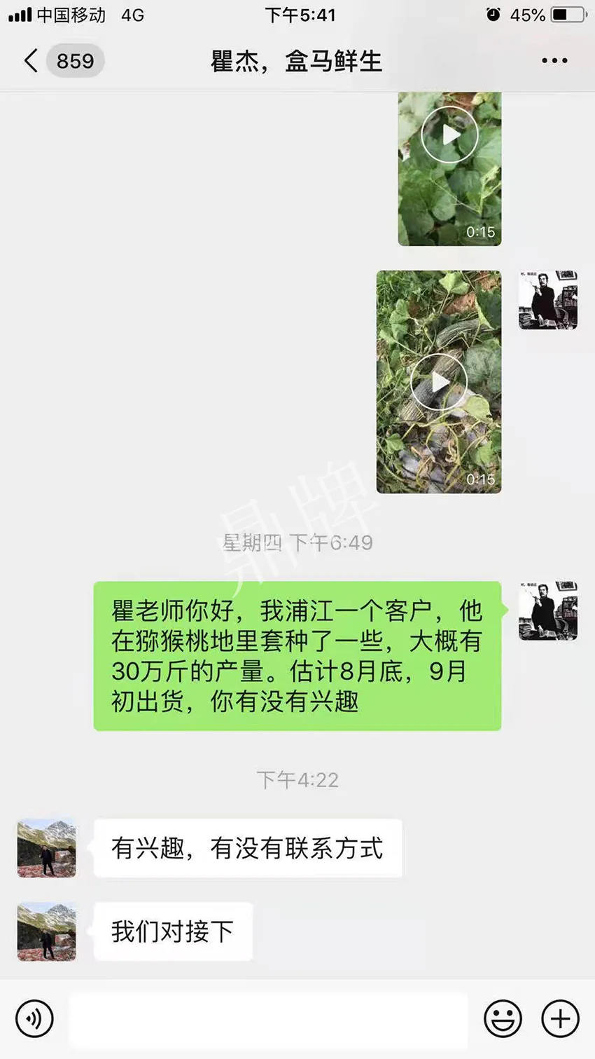 四川農(nóng)戶今年種“健美蜜本”南瓜產(chǎn)量高，品質(zhì)好，感覺巴適得很