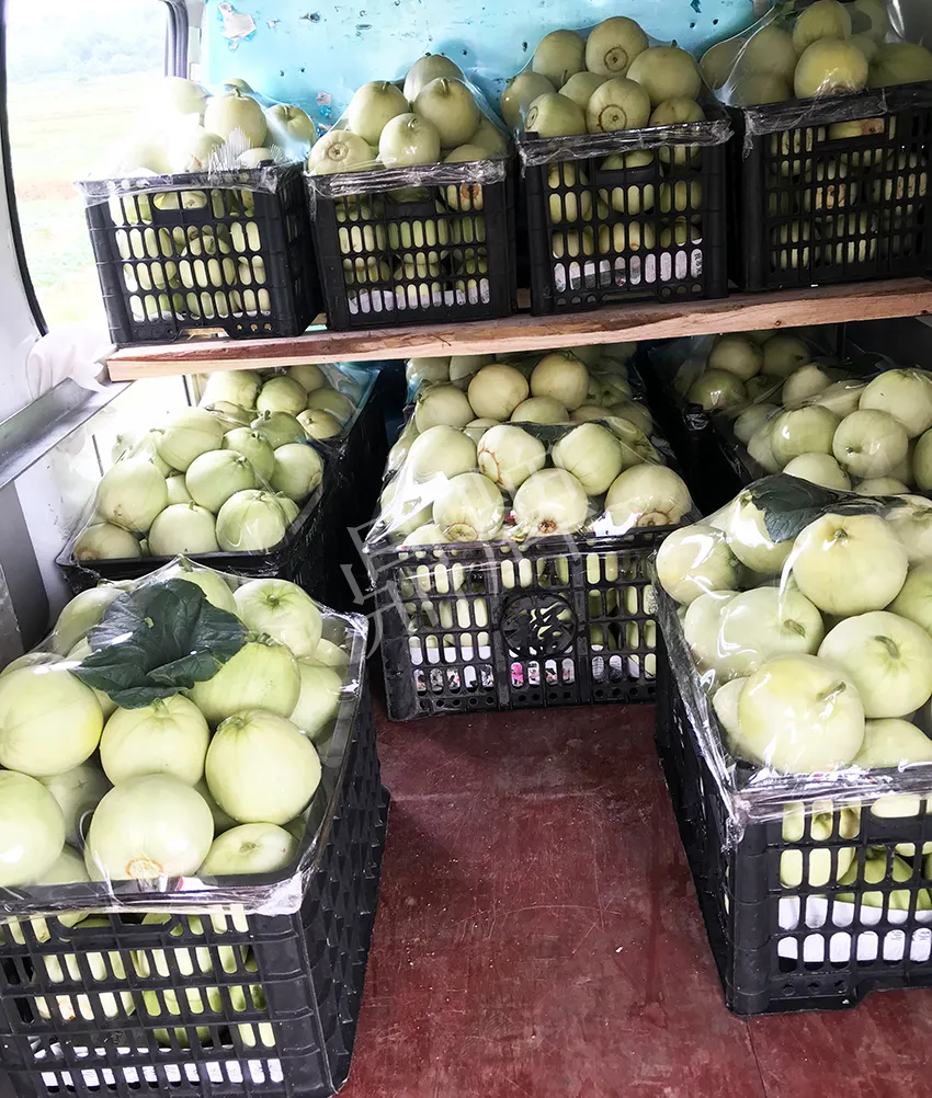 郴州農戶種植新品種，果實又香又甜，很好賣