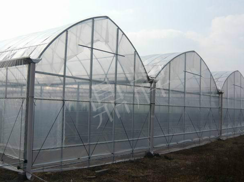 蔬菜種子種植戶客戶點評-鼎牌瓠瓜上市早，地頭批發(fā)價達(dá)到8元/斤，種植基地王老板告訴您！